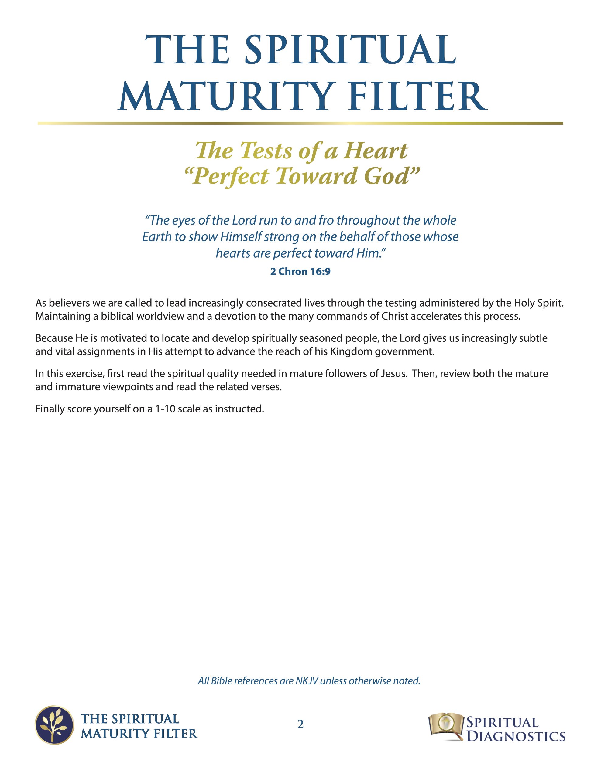 Spiritual Maturity Filter - Image 2