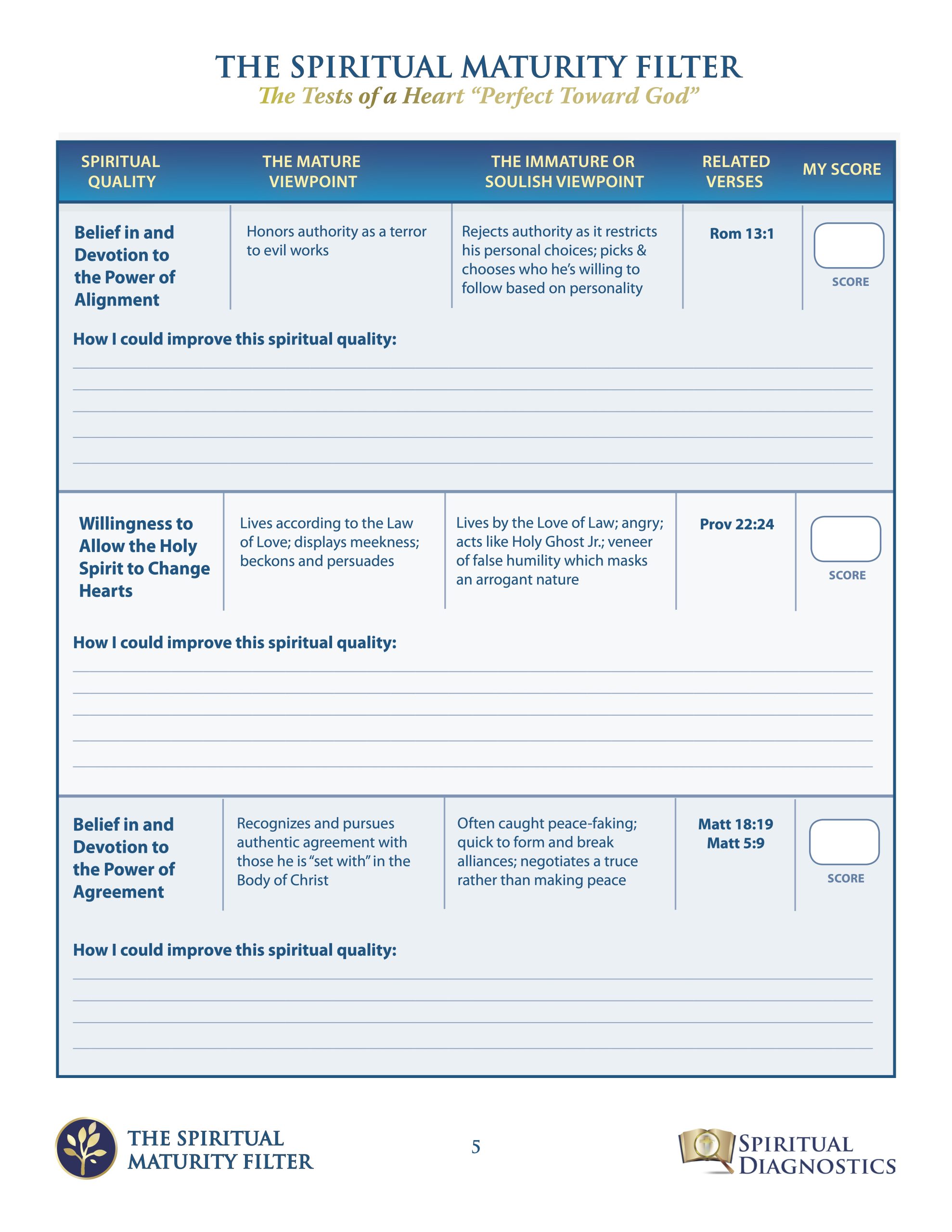 Spiritual Maturity Filter - Image 5