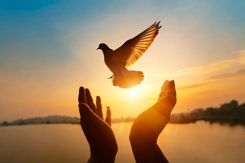 Do you Want Peace With God